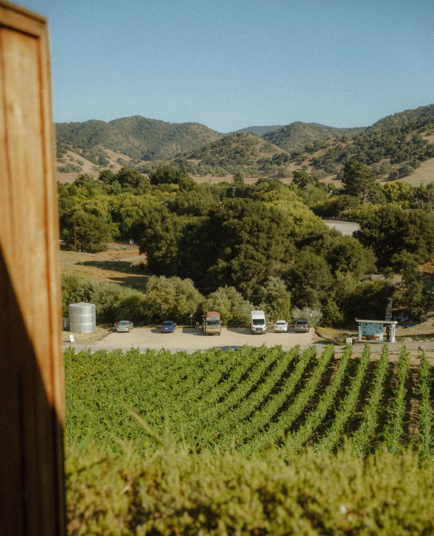 A view that comes with a vintage 🍇 ⁠
⁠
This Fall, midweek stays include a bottle of our estate-grown ros&eacute; when you book with code HARVEST 🍷 And as if you need another reason, rates are 15% off, too. ⁠
⁠
Available Sundays-Thursdays through No