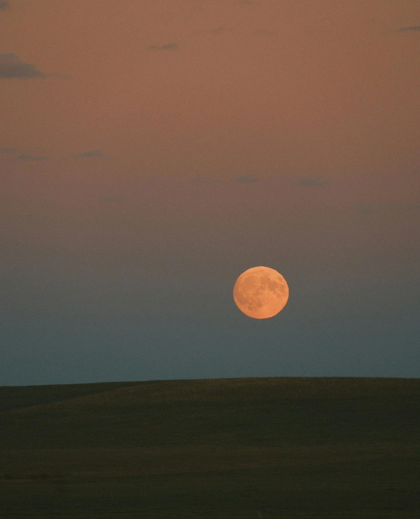 "But there's a full moon risin' / Let's go dancin' in the light / We know where the music's playin' / Let's go out and feel the night" 🎶 ⁠
⁠
Named for the full moon closest to the autumnal equinox, the Harvest Moon lights up the night duri