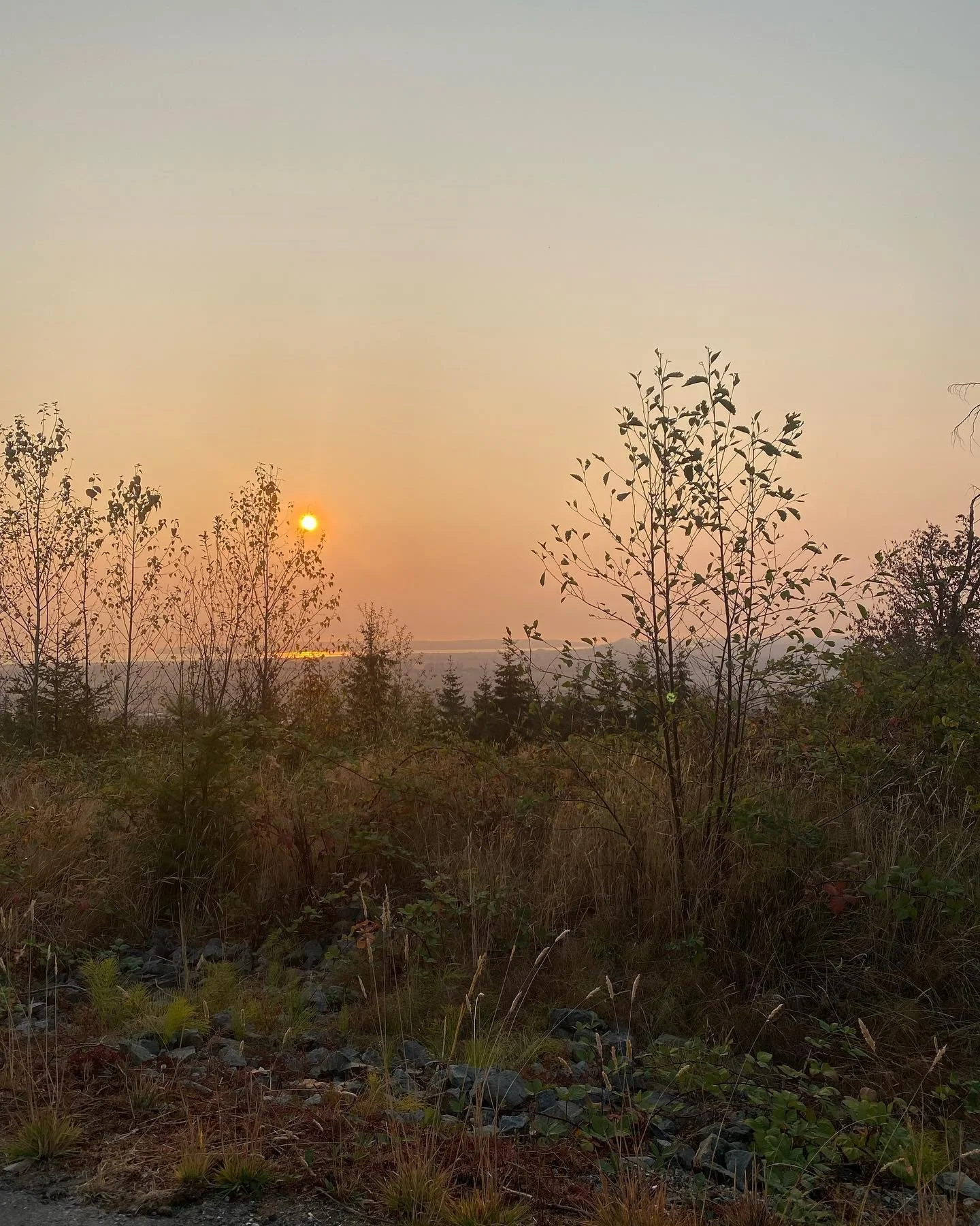 &bull; random photo dump for Oct/Nov &bull; 🍂
#fall2022