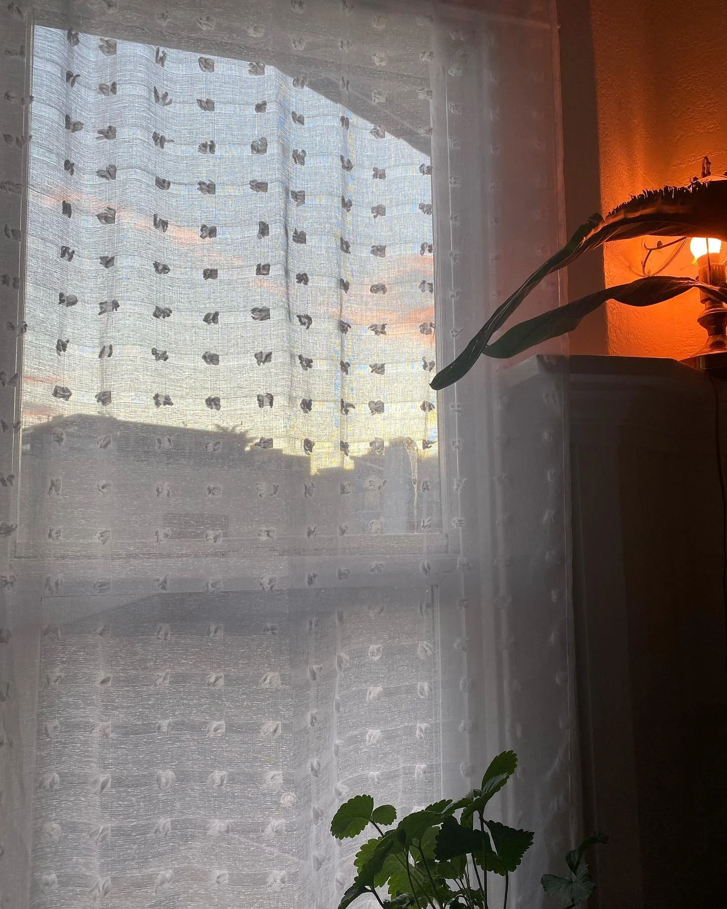 &bull; sunrise: inside &amp; outside &bull;

#seattle