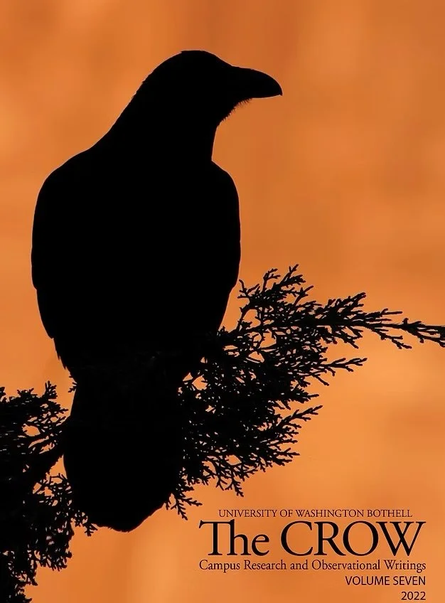 Existential Dread on Pro-Environmental Behavior in Young Adults | Academic Research Proposal