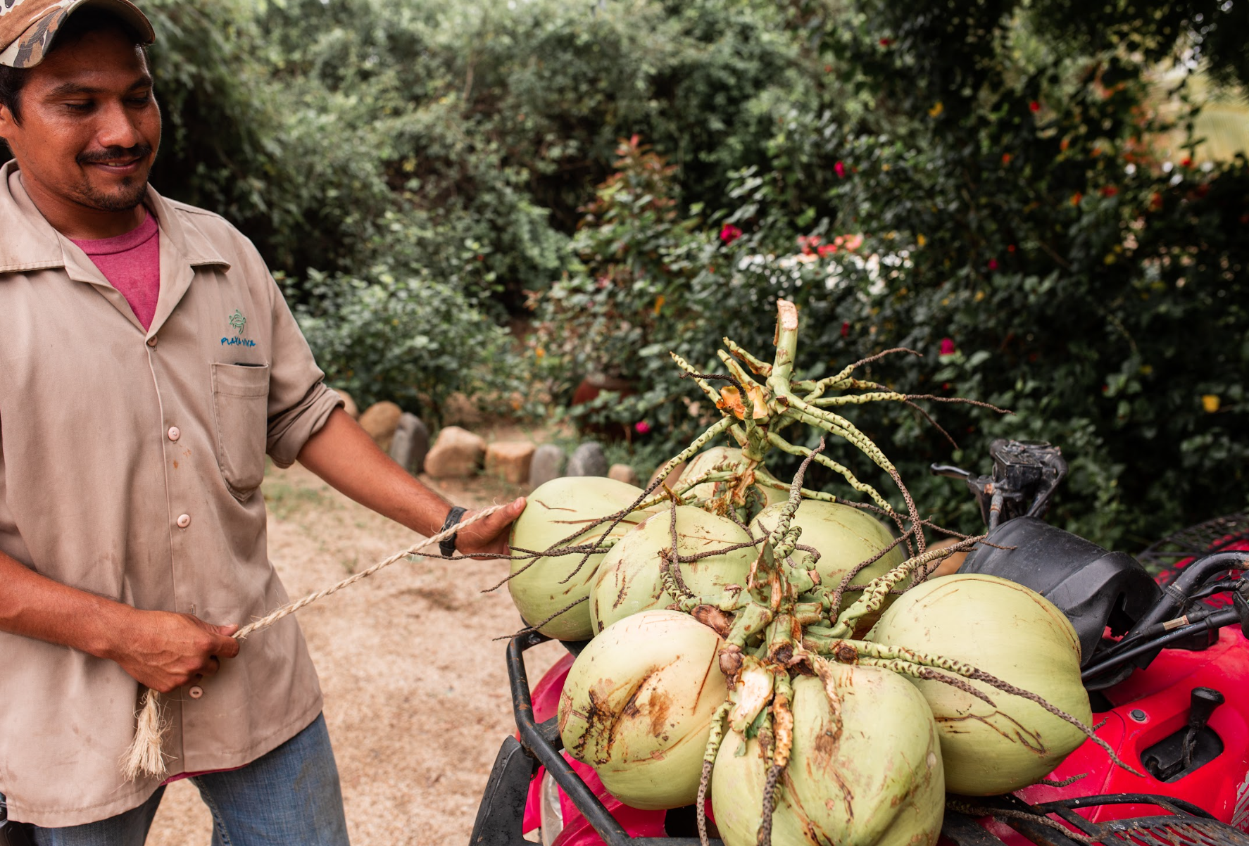 Screen Shot 2025-11-29 at 6.29.46 PM.png