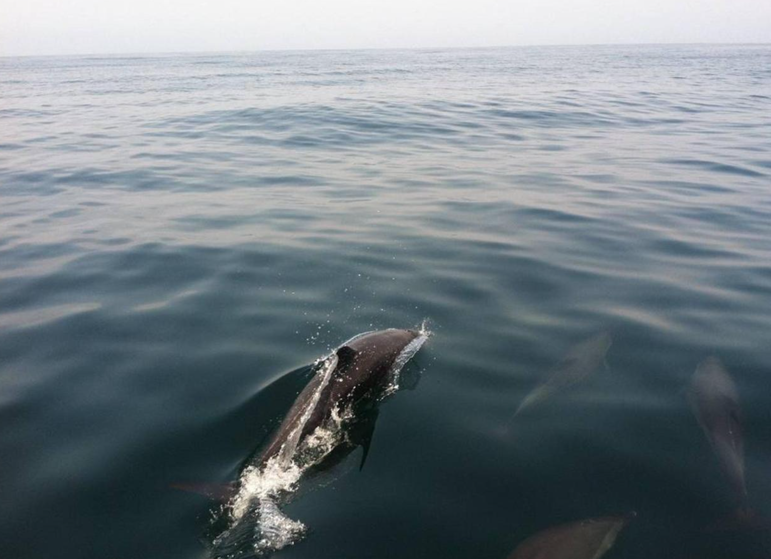 Screen Shot 2025-11-29 at 6.33.27 PM.png