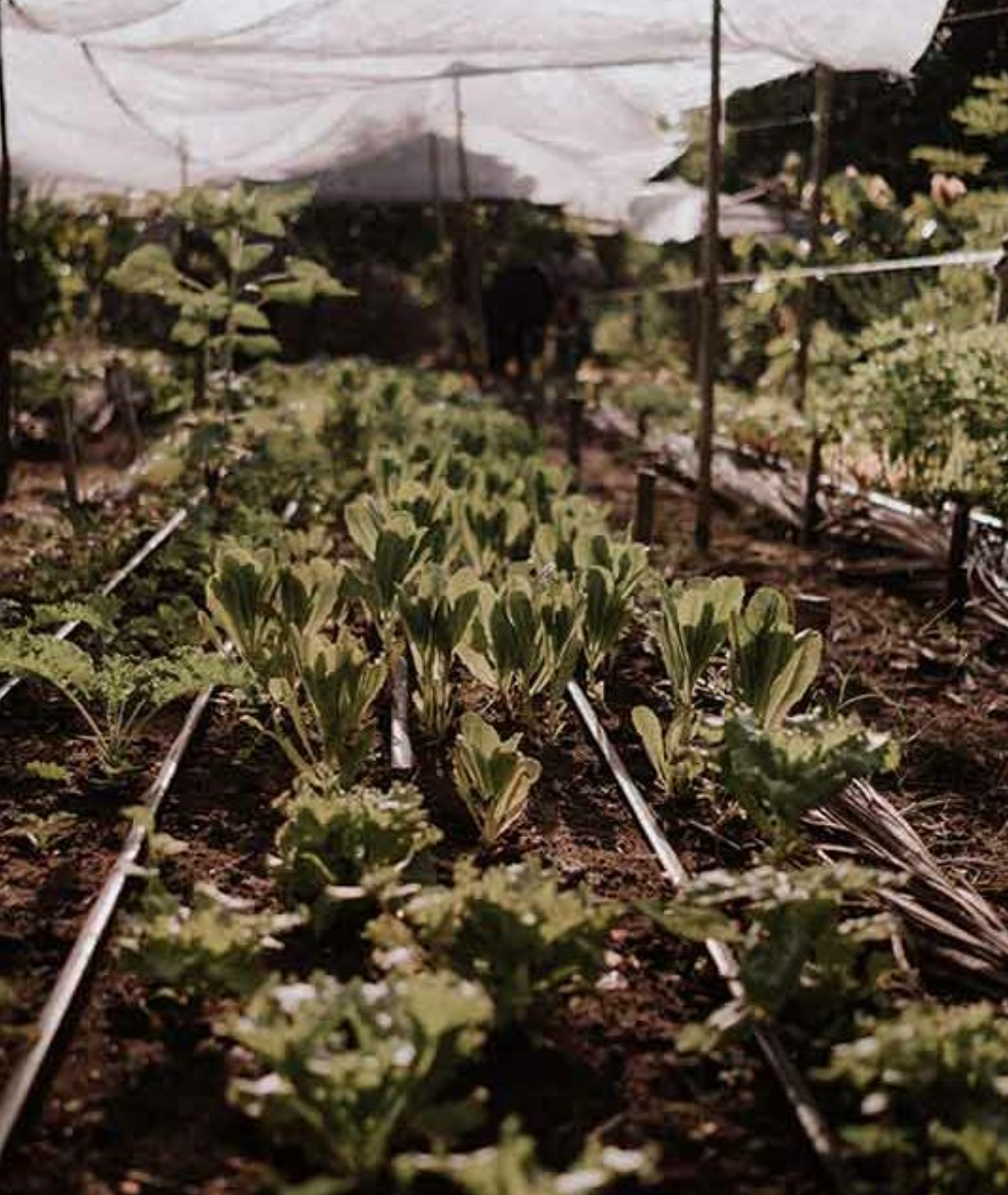 Screen Shot 2025-10-26 at 10.49.19 AM.png