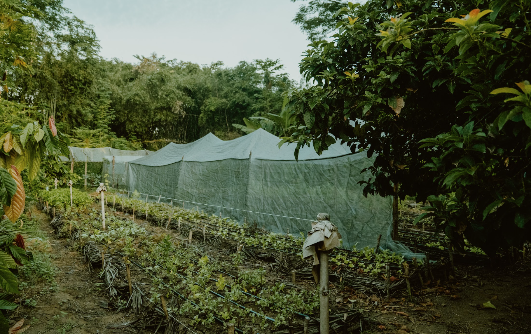 Screen Shot 2025-11-29 at 6.32.57 PM.png