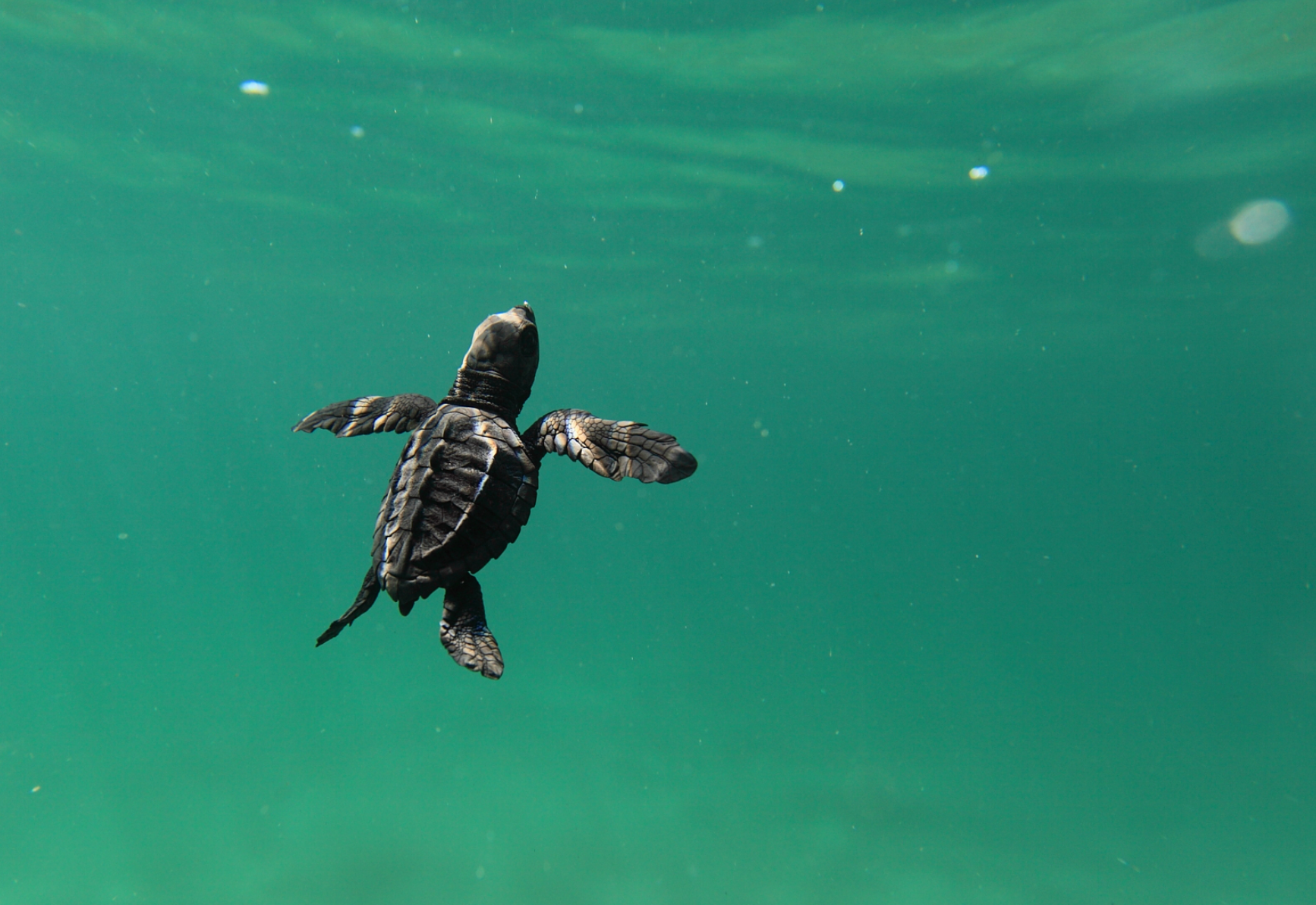 Screen Shot 2025-11-29 at 6.23.46 PM.png