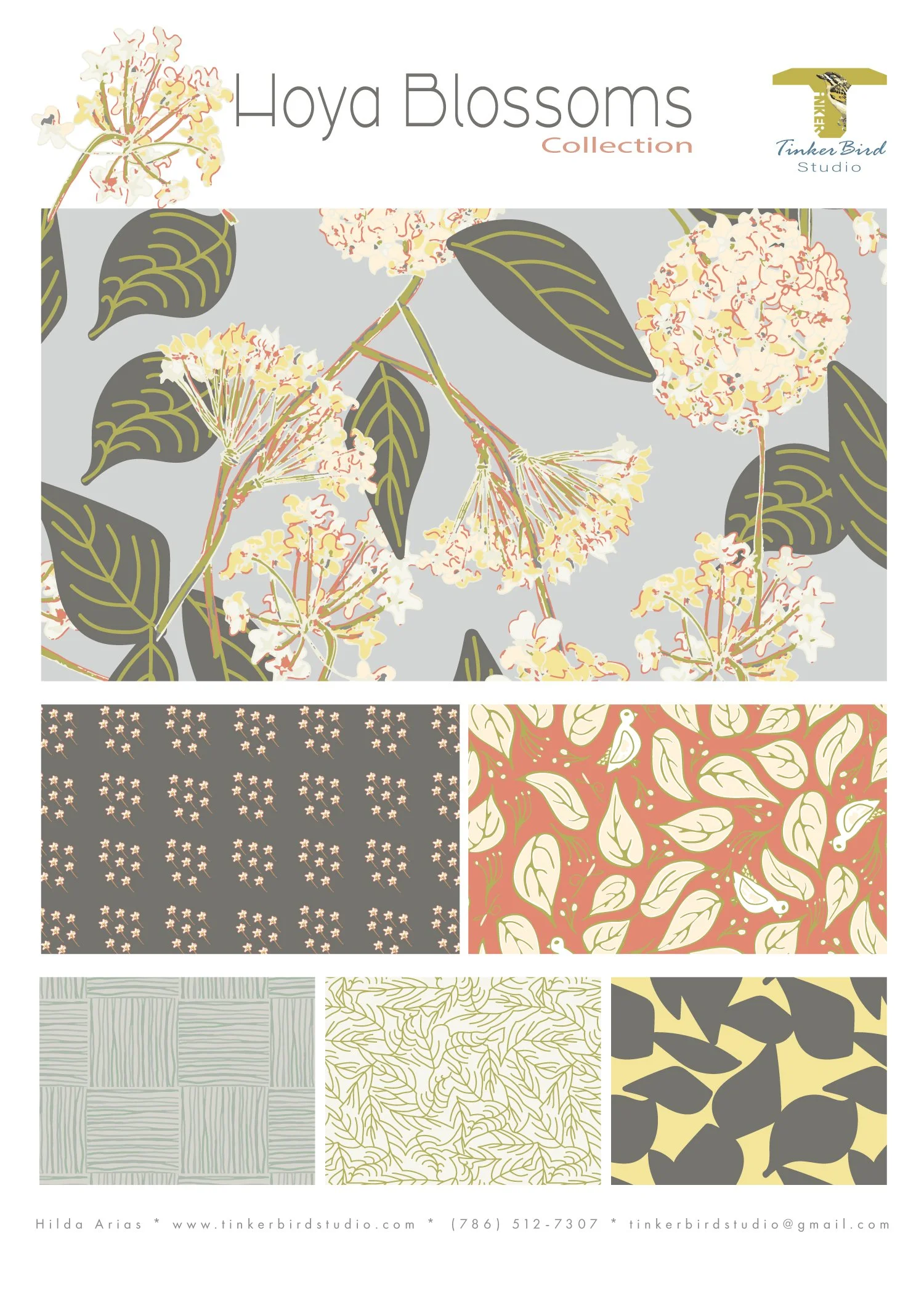 Hoya Blossoms Collection