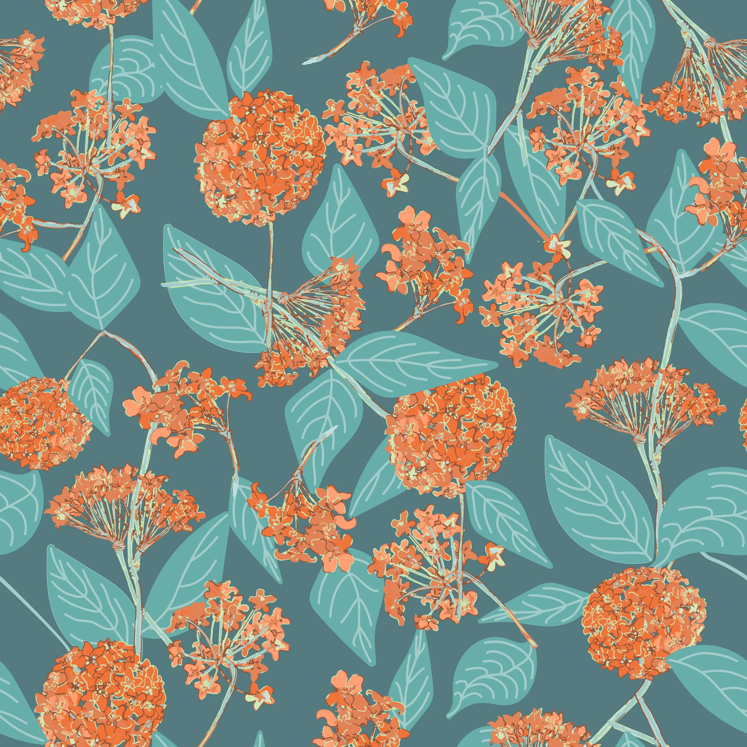 Orange & Misty Blue Hoya and leaves-02.jpg