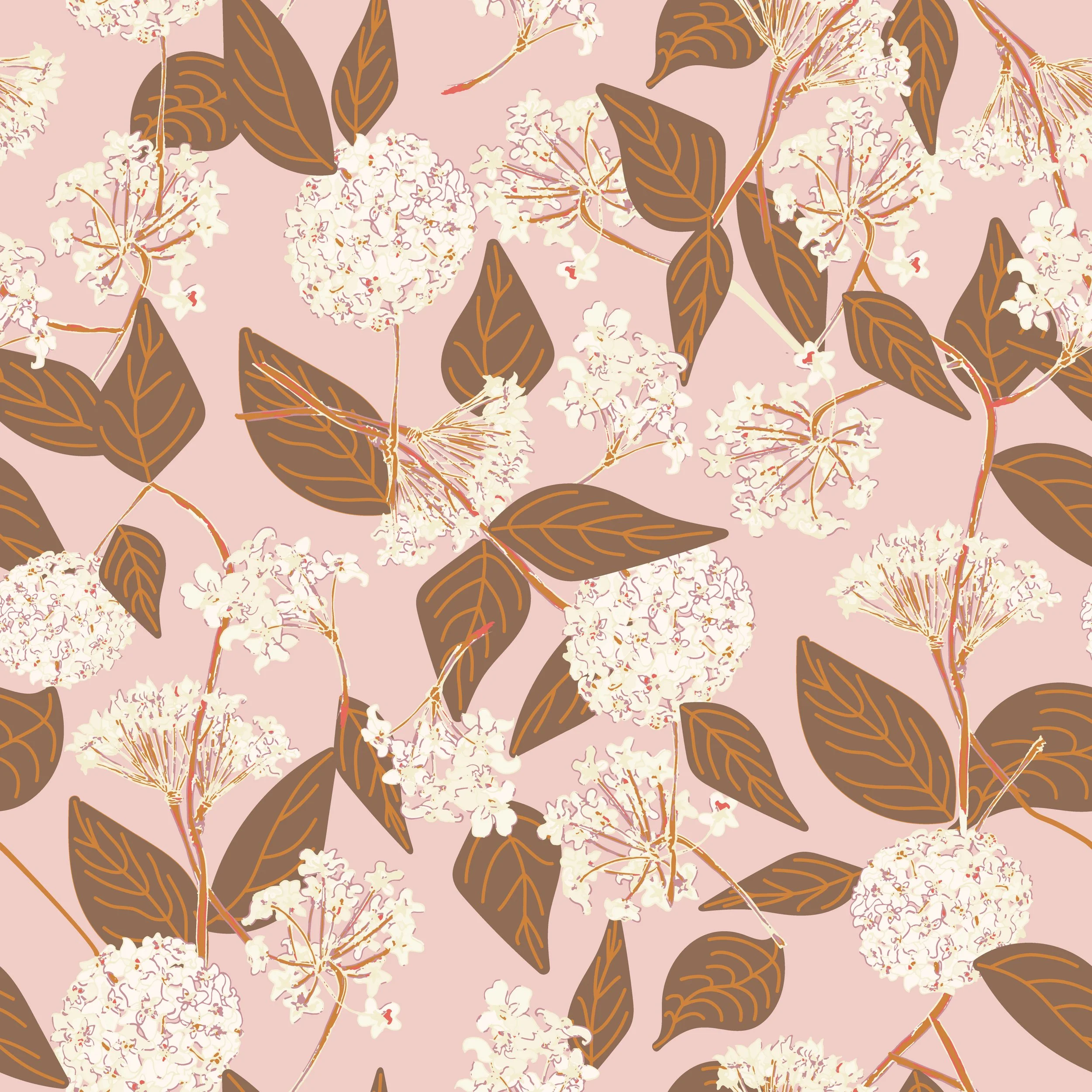 Banana Split Hoyas-01.jpg