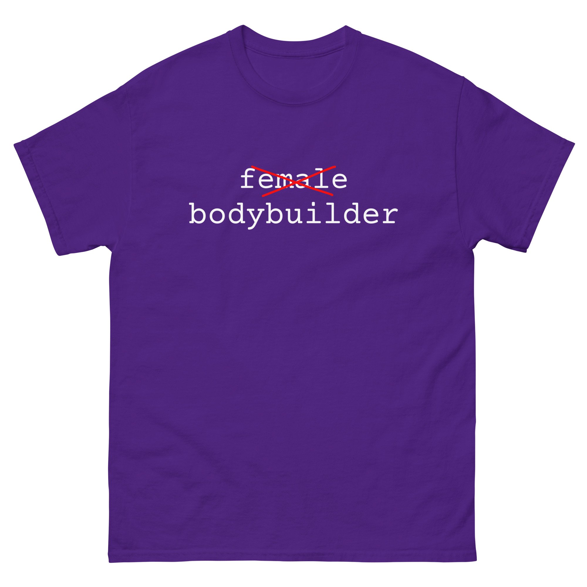 unisex-classic-tee-purple-front-671c96e43f890.jpg