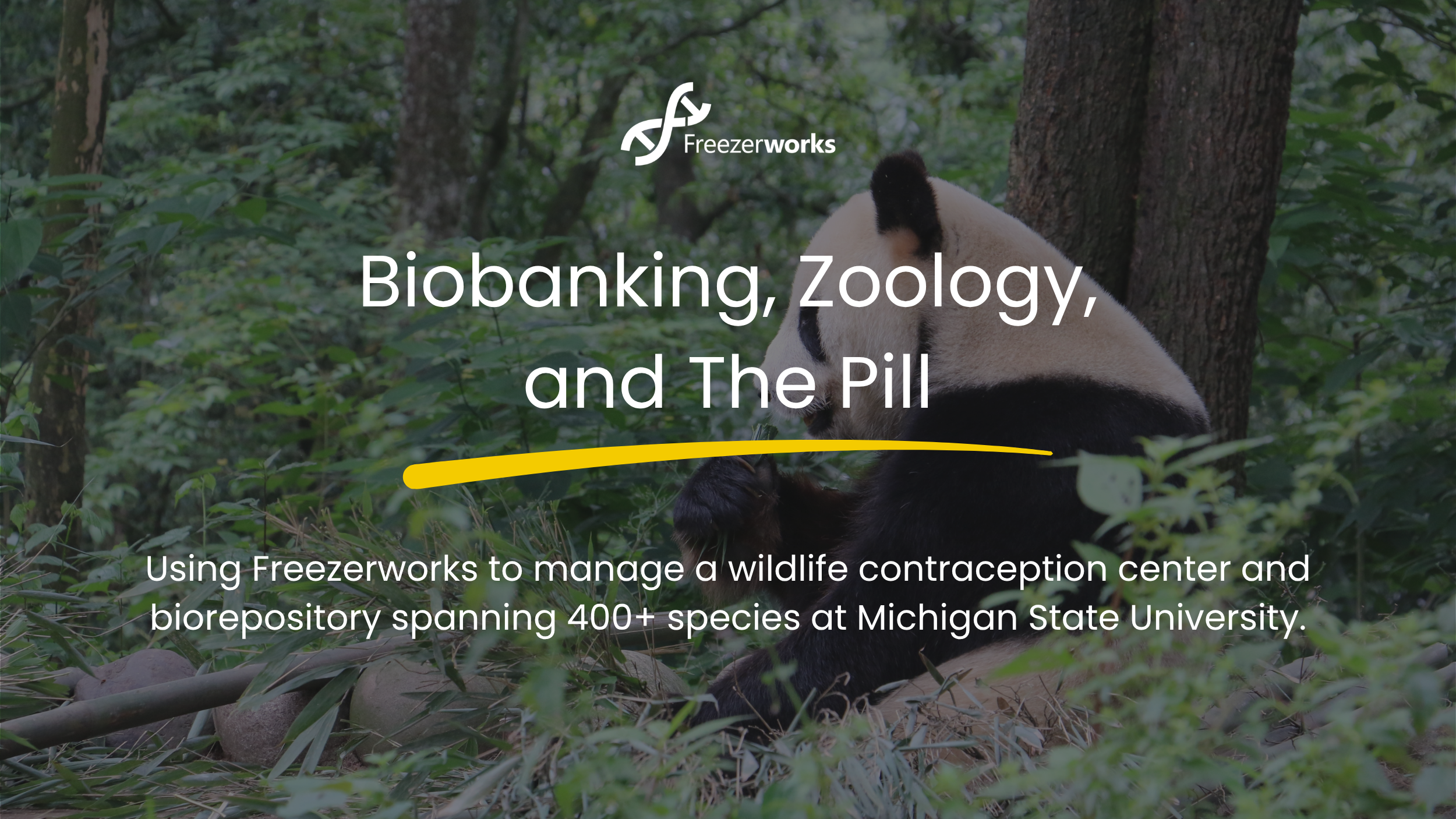 Biobanking, Zoology, and The Pill