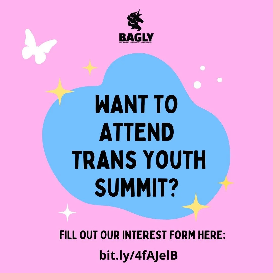 The Trans Youth Summit (TYS) is a free daylong community conference organized by trans youth FOR trans youth! Our summit features a keynote speaker, workshops, discussion groups, and free gender-affirming wear! TYS aims to build community, combat opp