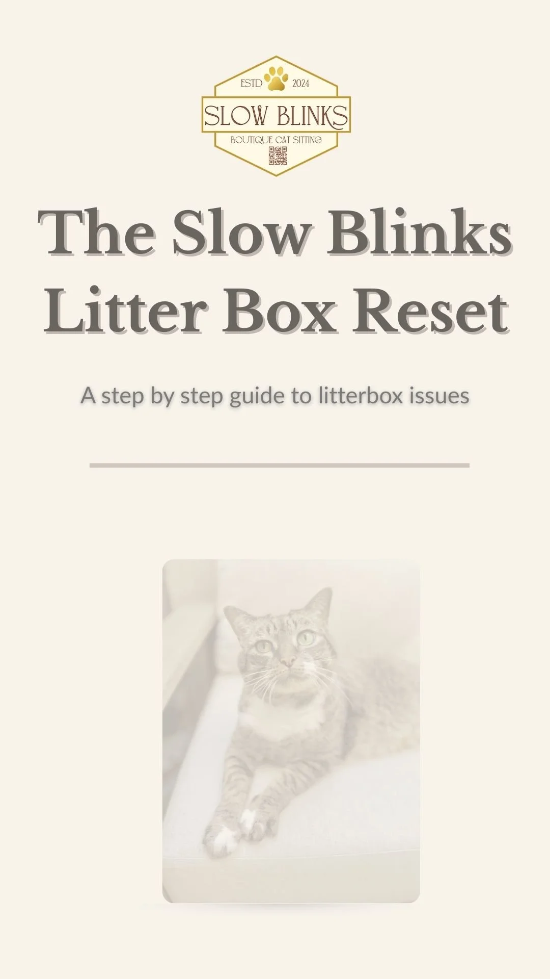 The Slow Blinks Litterbox Reset Title Page.jpg
