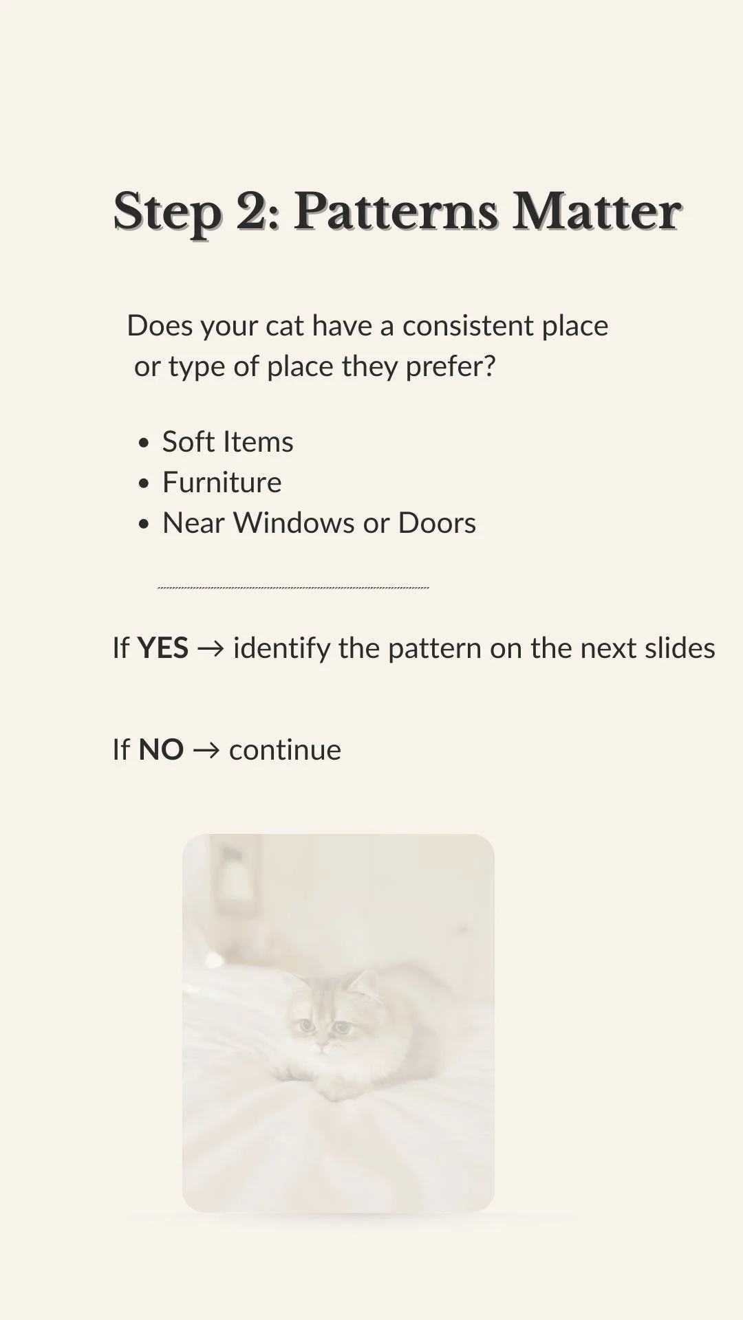 The Slow Blinks Litterbox Reset Pattern Matter Page.jpg