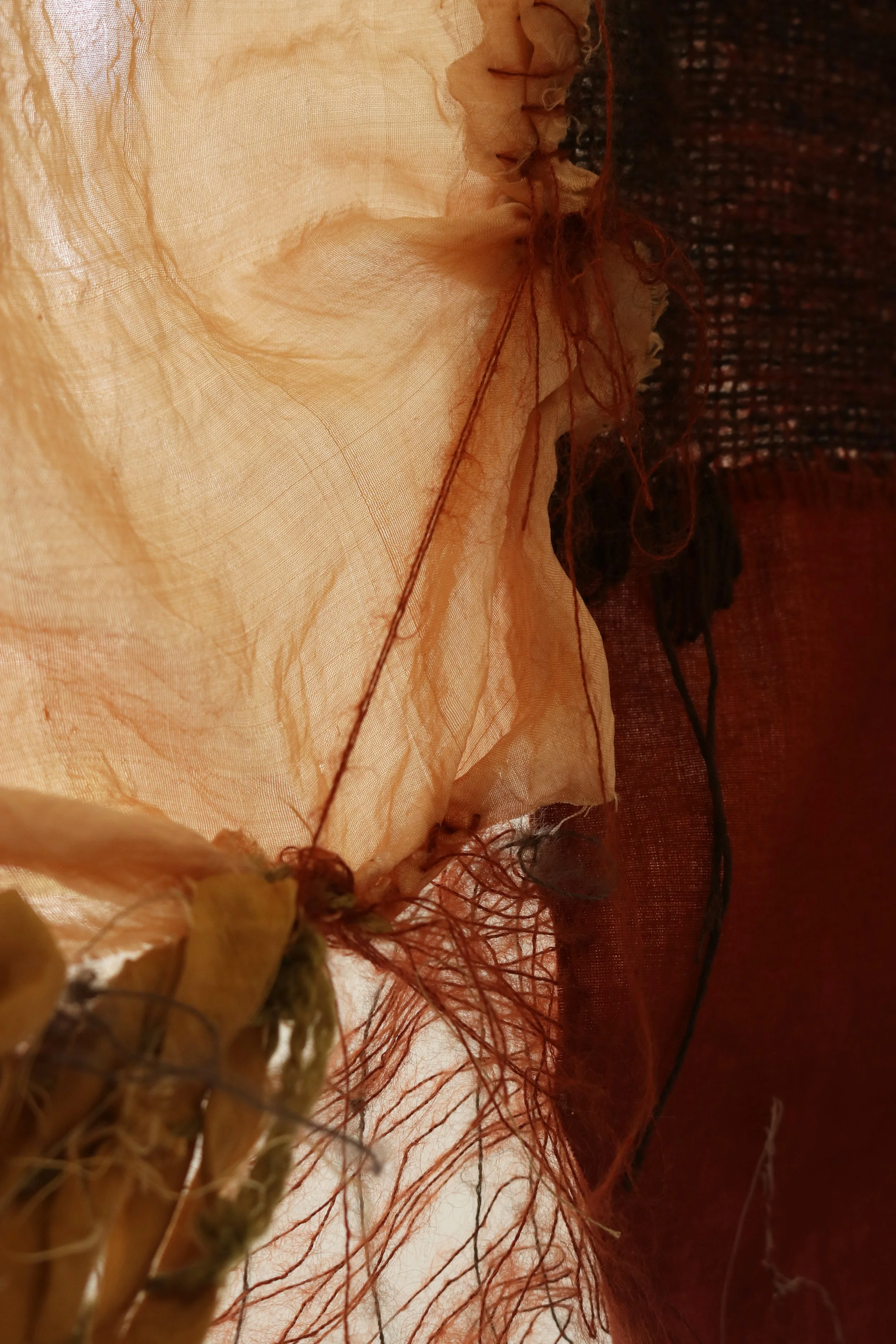 close up.jpg