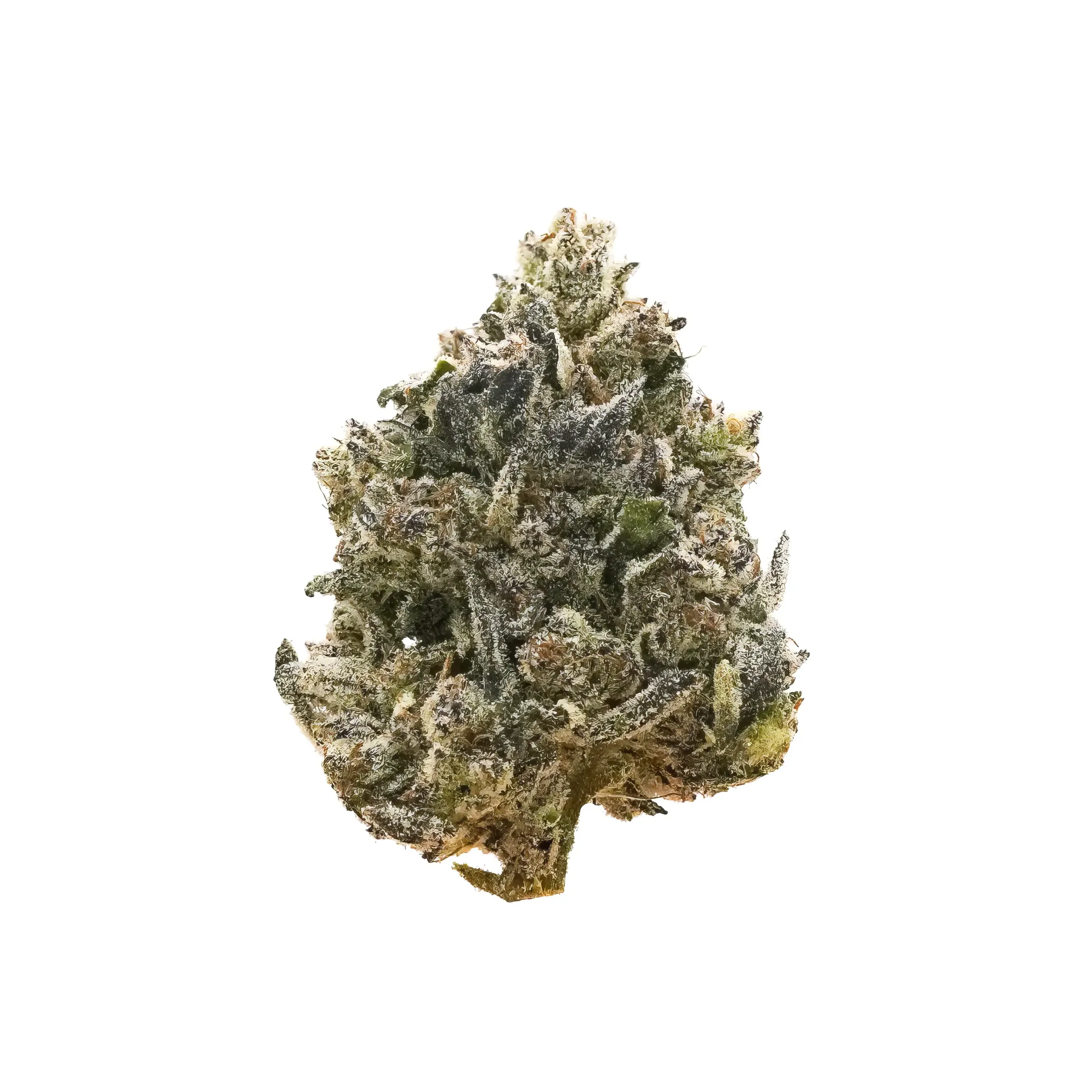 Close-up of a cannabis bud with frosty trichomes on a white background.
