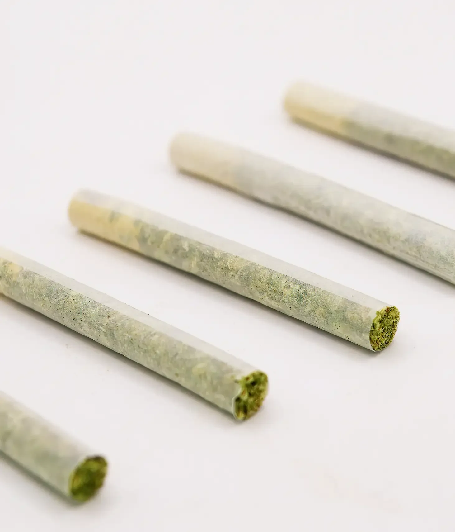 Several rolled joints with green substance inside, placed on a white surface.