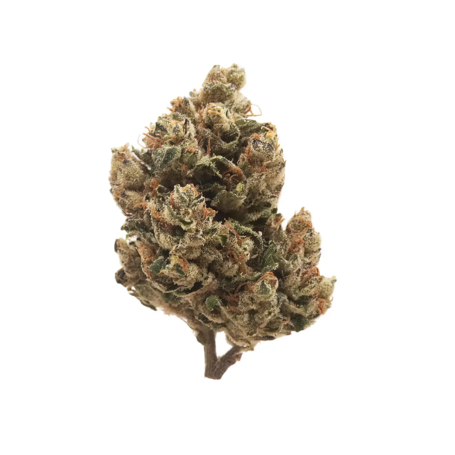 Close-up of a cannabis bud with green leaves, orange hairs, and frosty trichomes on a white background.