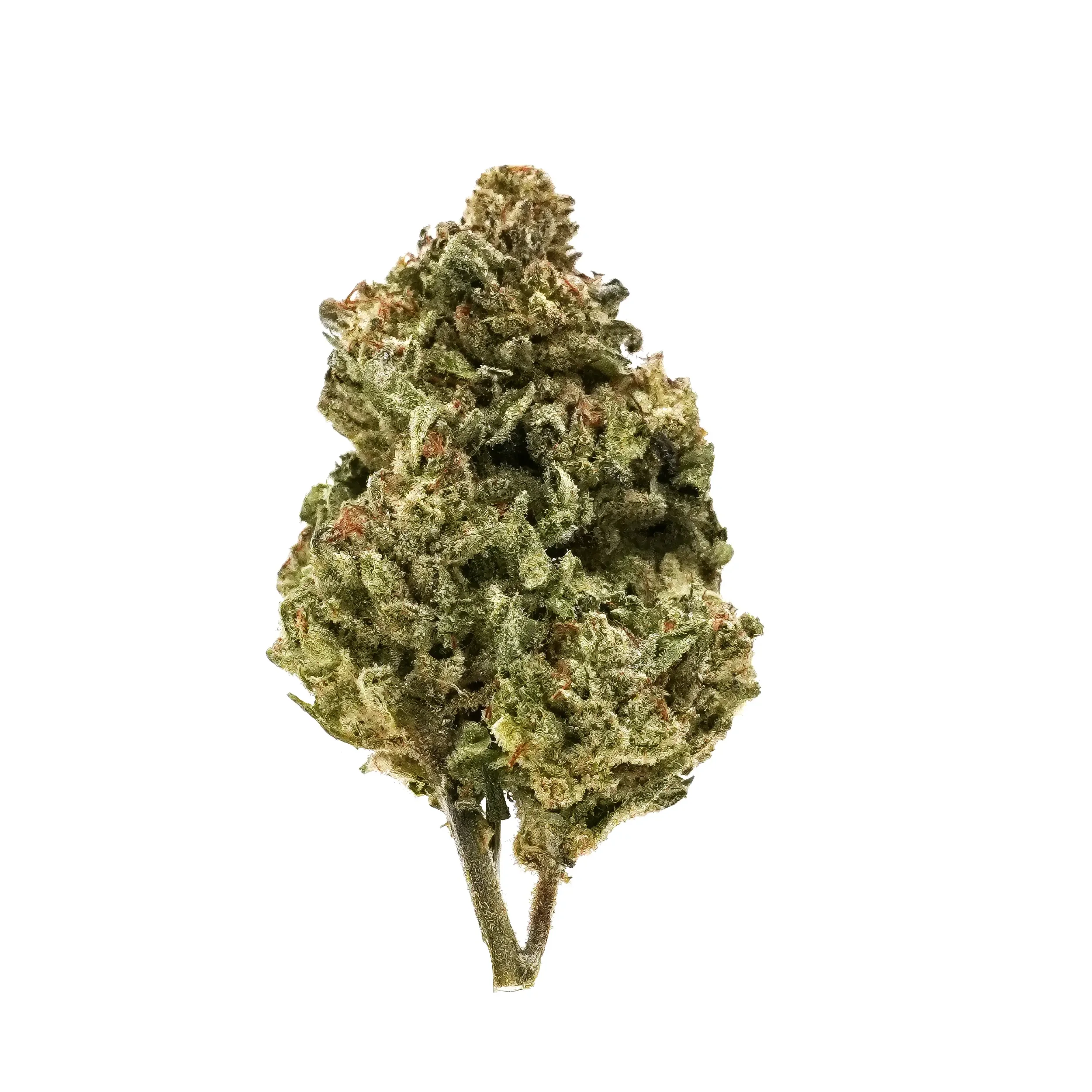 Close-up of a cannabis bud with green and orange hues and crystalline trichomes on a white background.