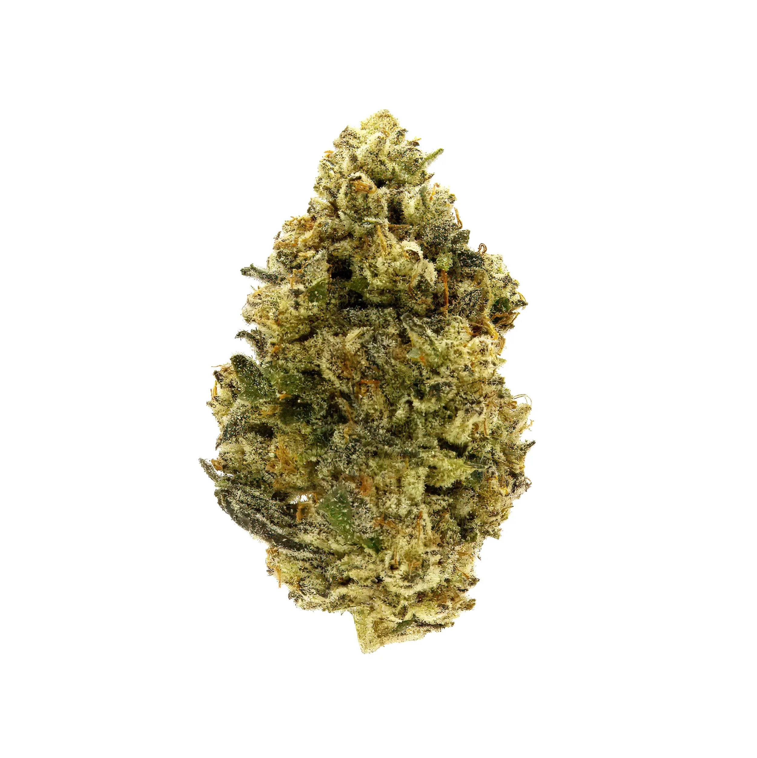 Close-up of a cannabis bud with dense, frosty trichomes and orange hairs, on a white background.