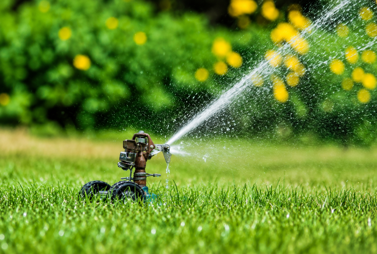 Sprinkler Leak? Don’t Let a Small Problem Turn Into a Big Repair
