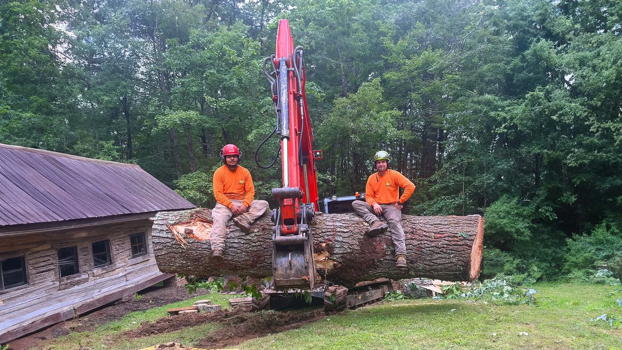 New Tree Removal Technology Lets Brantley Tree Take Down Massive Trees Near Homes & Power Lines