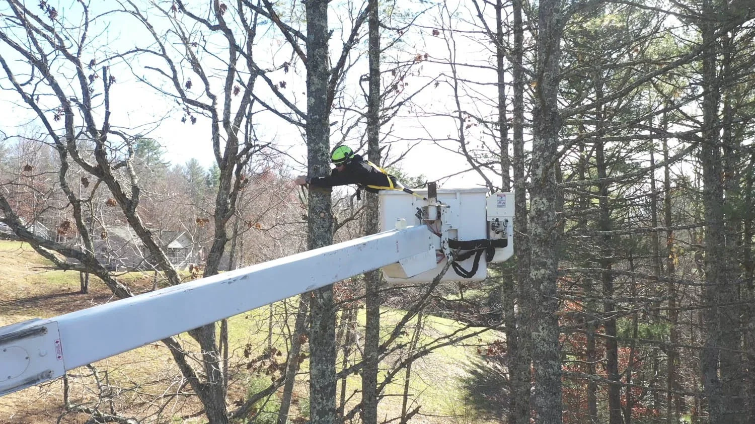 brantley-tree-service-jefferson-nc-77.jpg