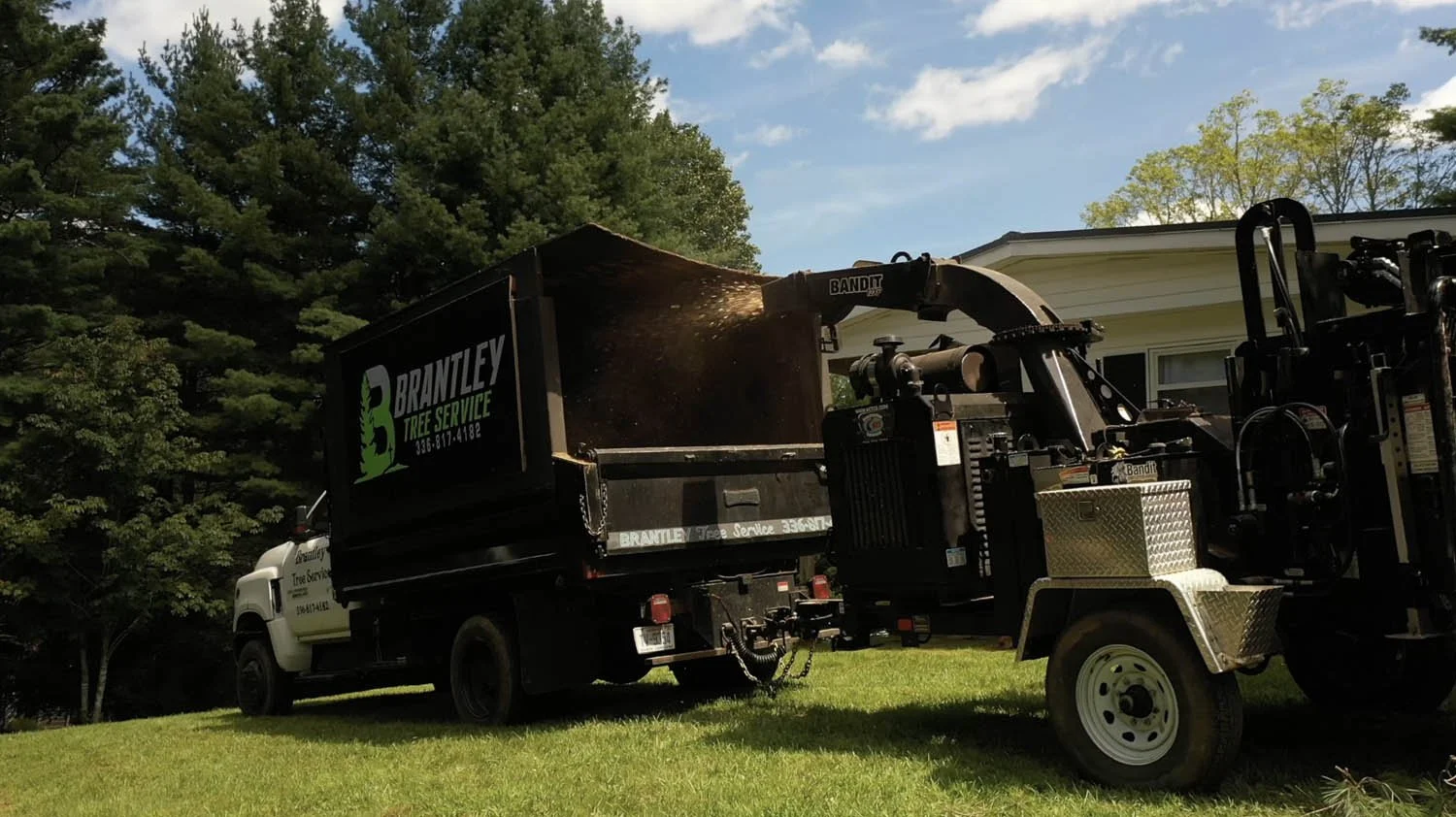 brantley-tree-service-jefferson-nc-107.jpg