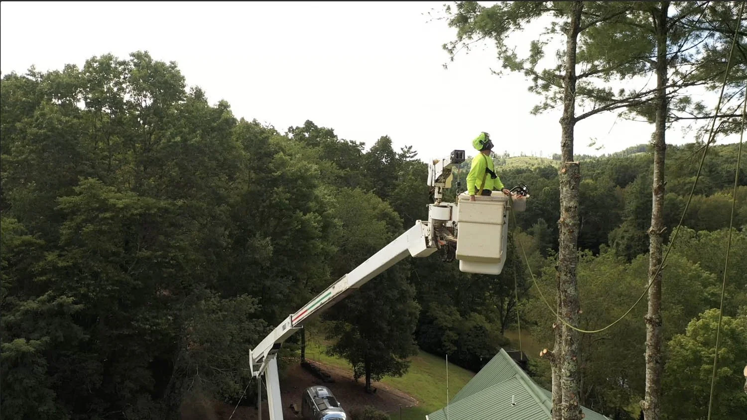 brantley-tree-service-jefferson-nc-87.jpg