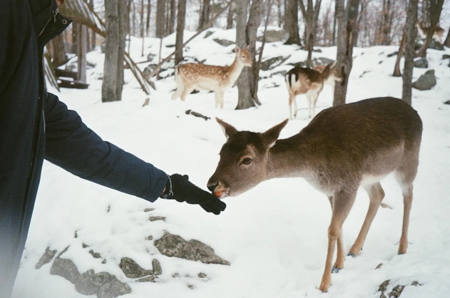 #olympustrip35mm #kodakultramax400