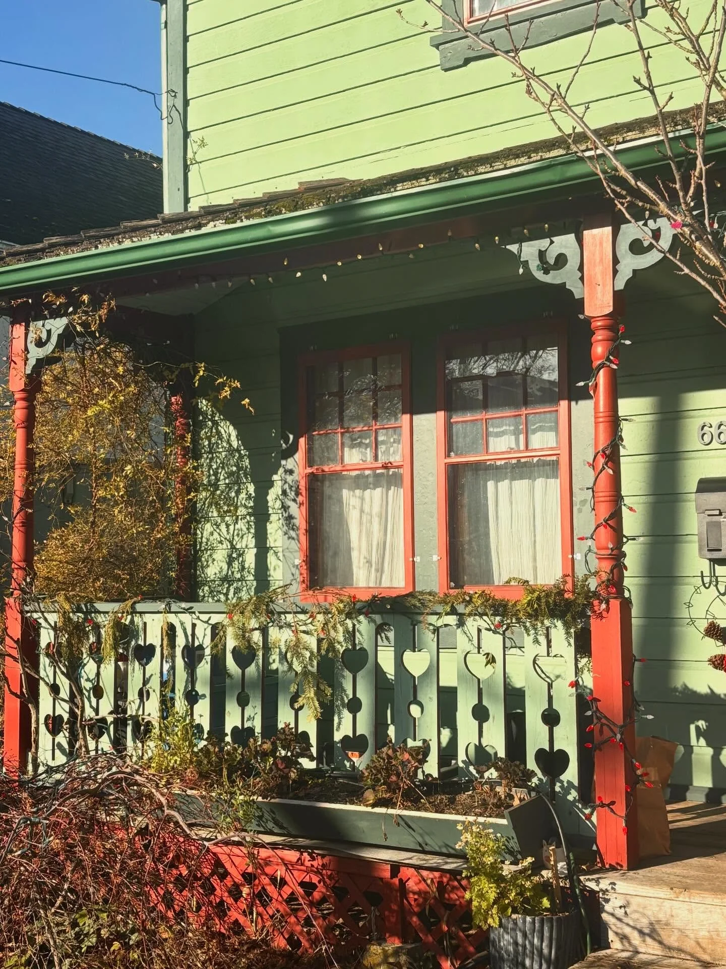 Shades of my green camera roll that I hope make you smile too ☘️🫛🌿