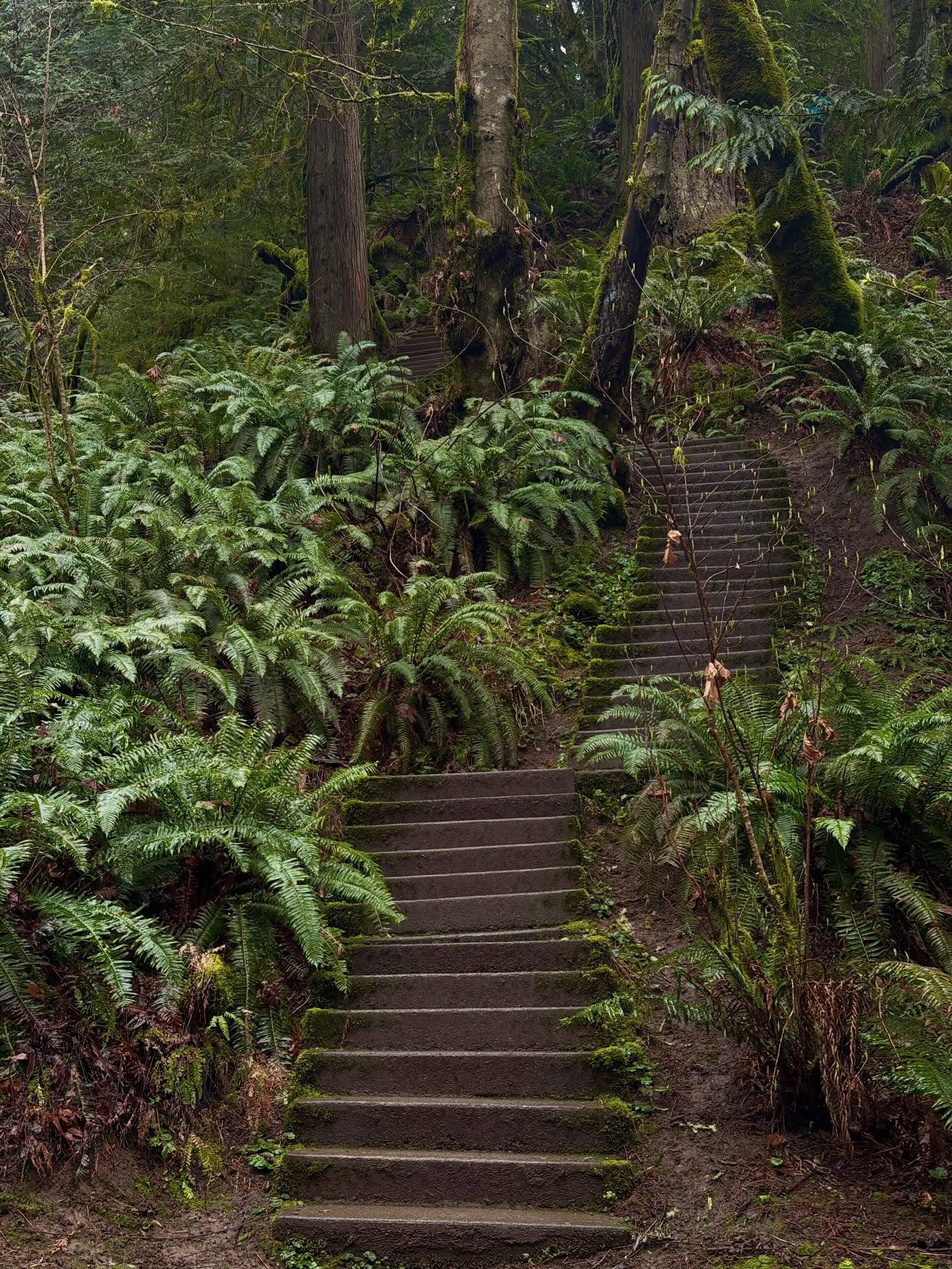 The point in the hike where it&rsquo;s looking like lock in or end up in The Frog Times