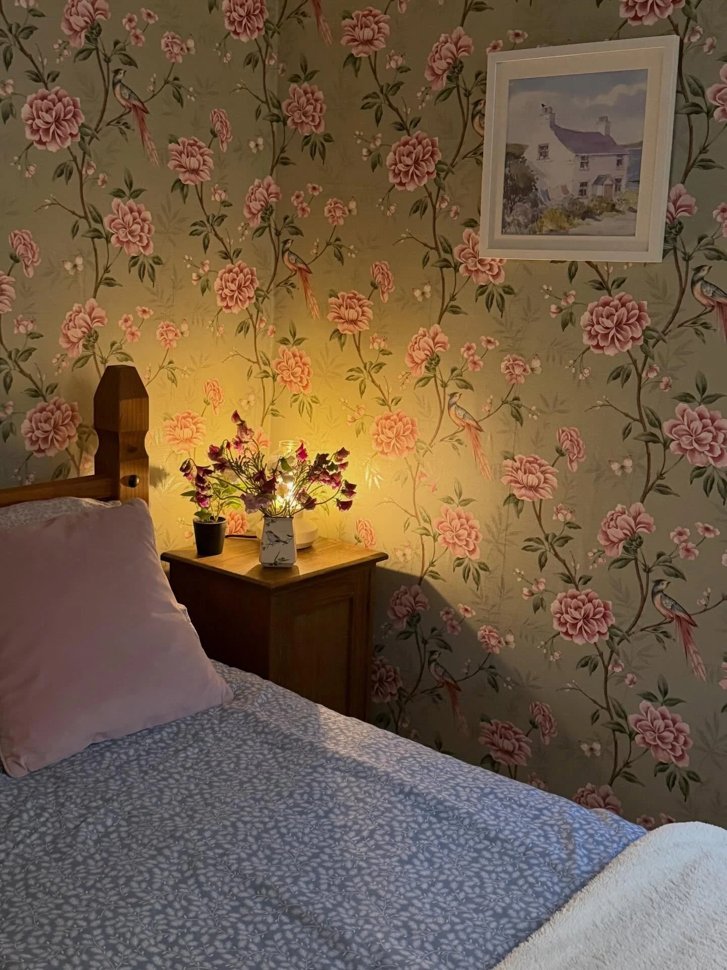 Our various homes away from home in Ireland 🫖🐑 Highlights included the cozy stone cottages straight out of The Holiday, the flower farm by the ocean, and watching a week-old duckling learn to walk with his baby goat friends!