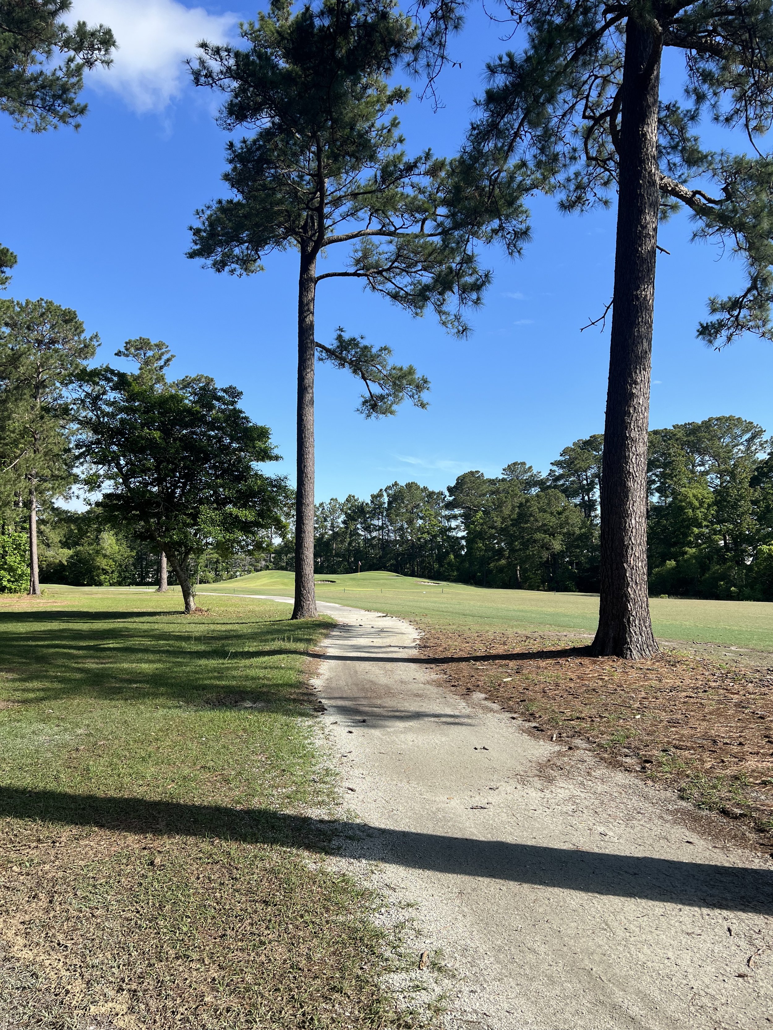 Let’s Go Golf