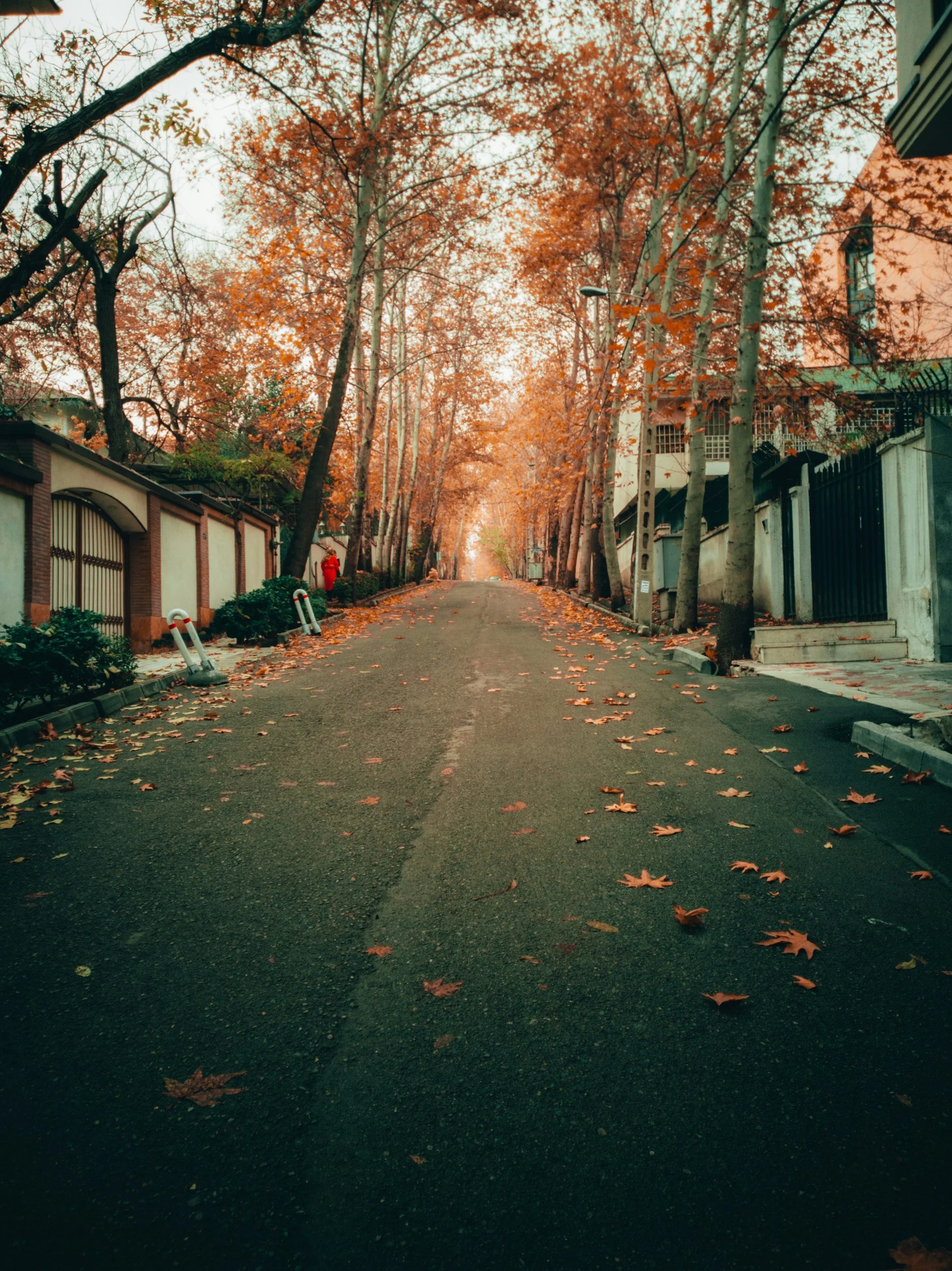 Fall in Holly Ridge: Why Autumn Might Be the Best Time to Look Here