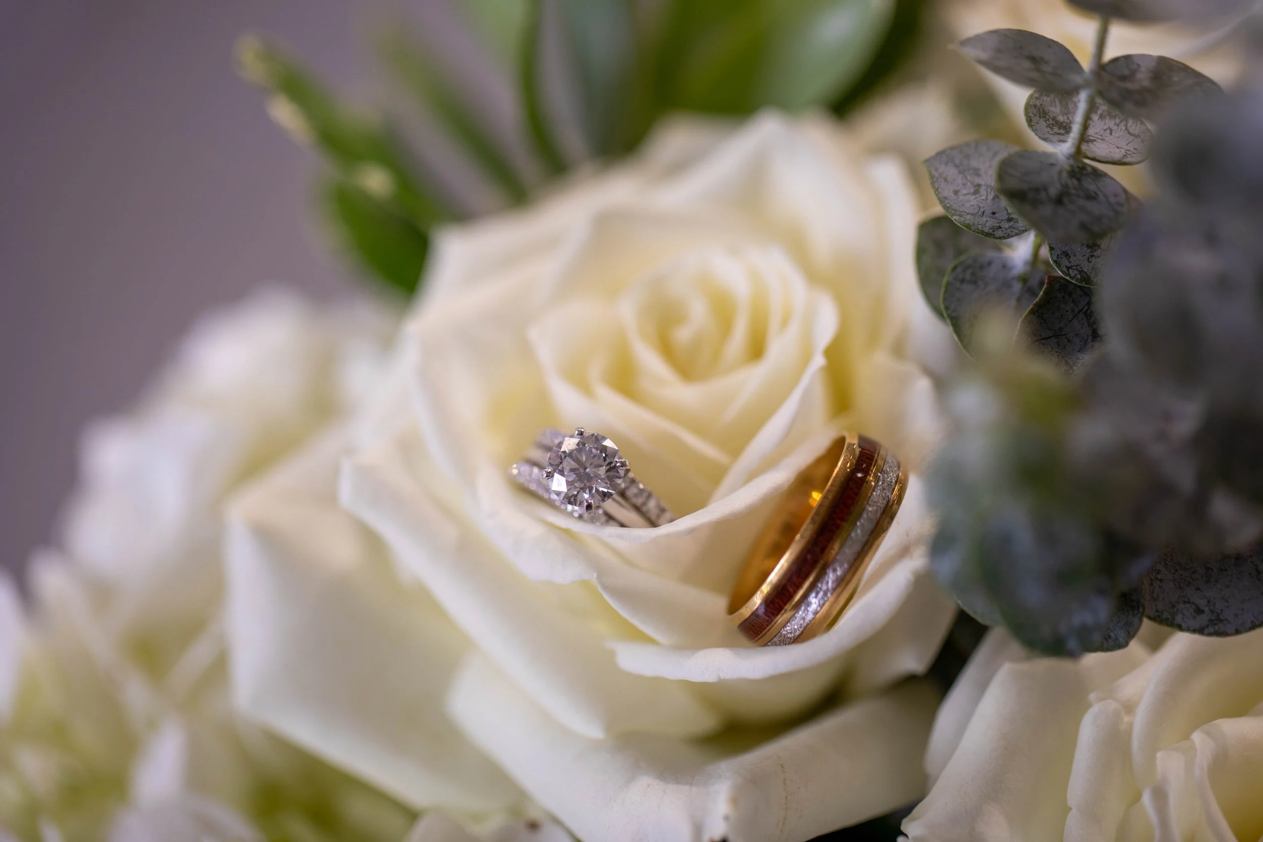 Randy and Joe's WEdding 2024-32.JPG