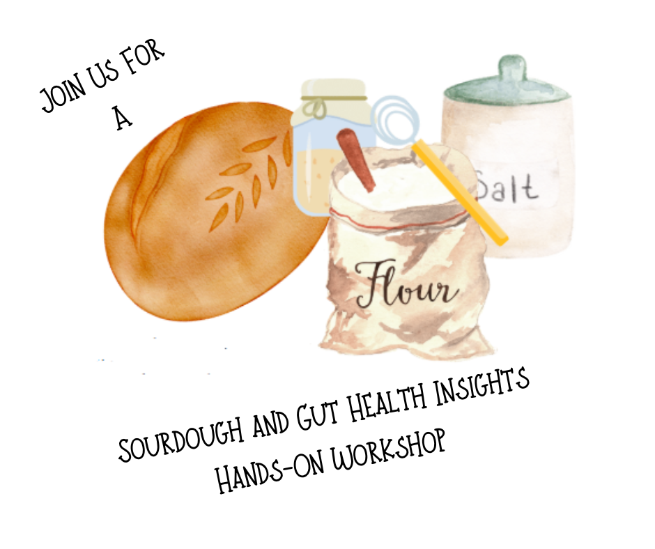 Sourdough Making with Gut Health Insights