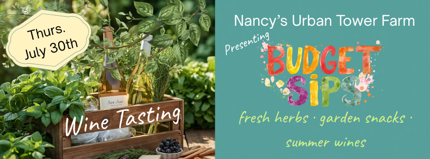 Budget Sips &amp; Garden Snacks: A Summer Wine Tasting