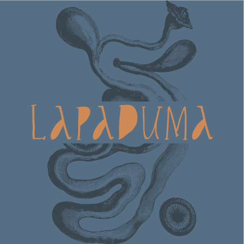 compressed_image_logo_lapaduma.jpg
