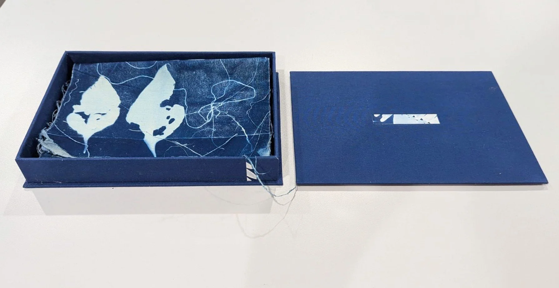 PHOTO-2026-04-02-17-11-10 (1).jpg