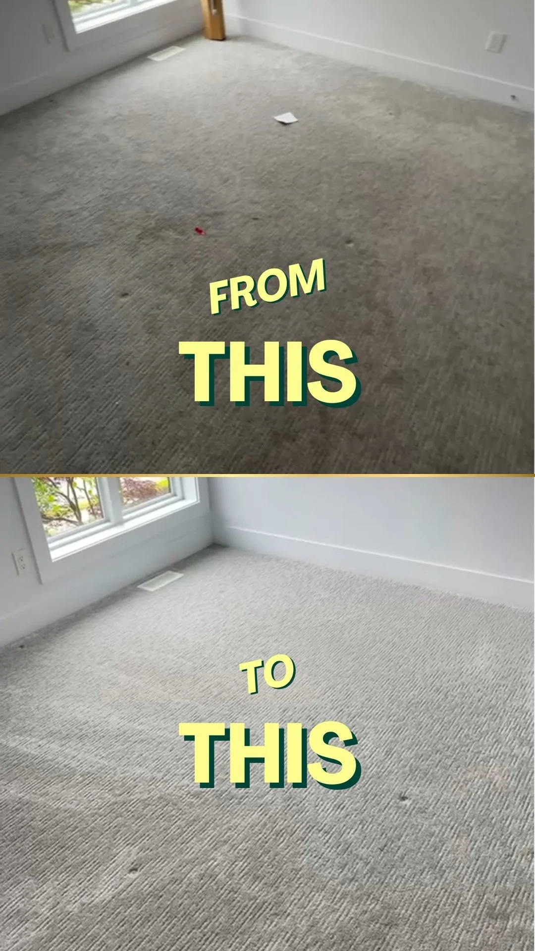 RM Carpet.jpg