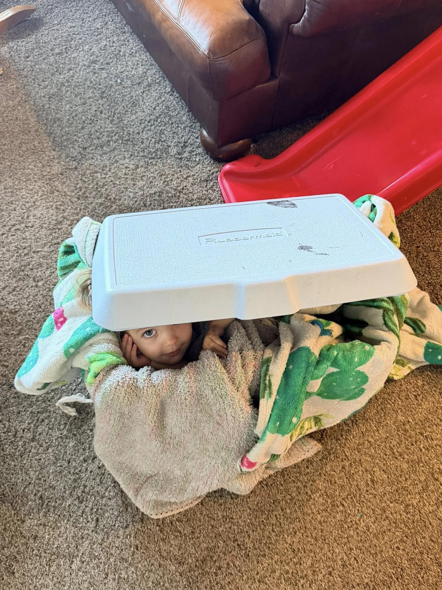 A young child with light eyes and light hair lying on a towel and blanket under a styrofoam cooler, looking up at the camera. The scene is indoors with a carpeted floor, a brown leather couch, and a red plastic slide in the background.