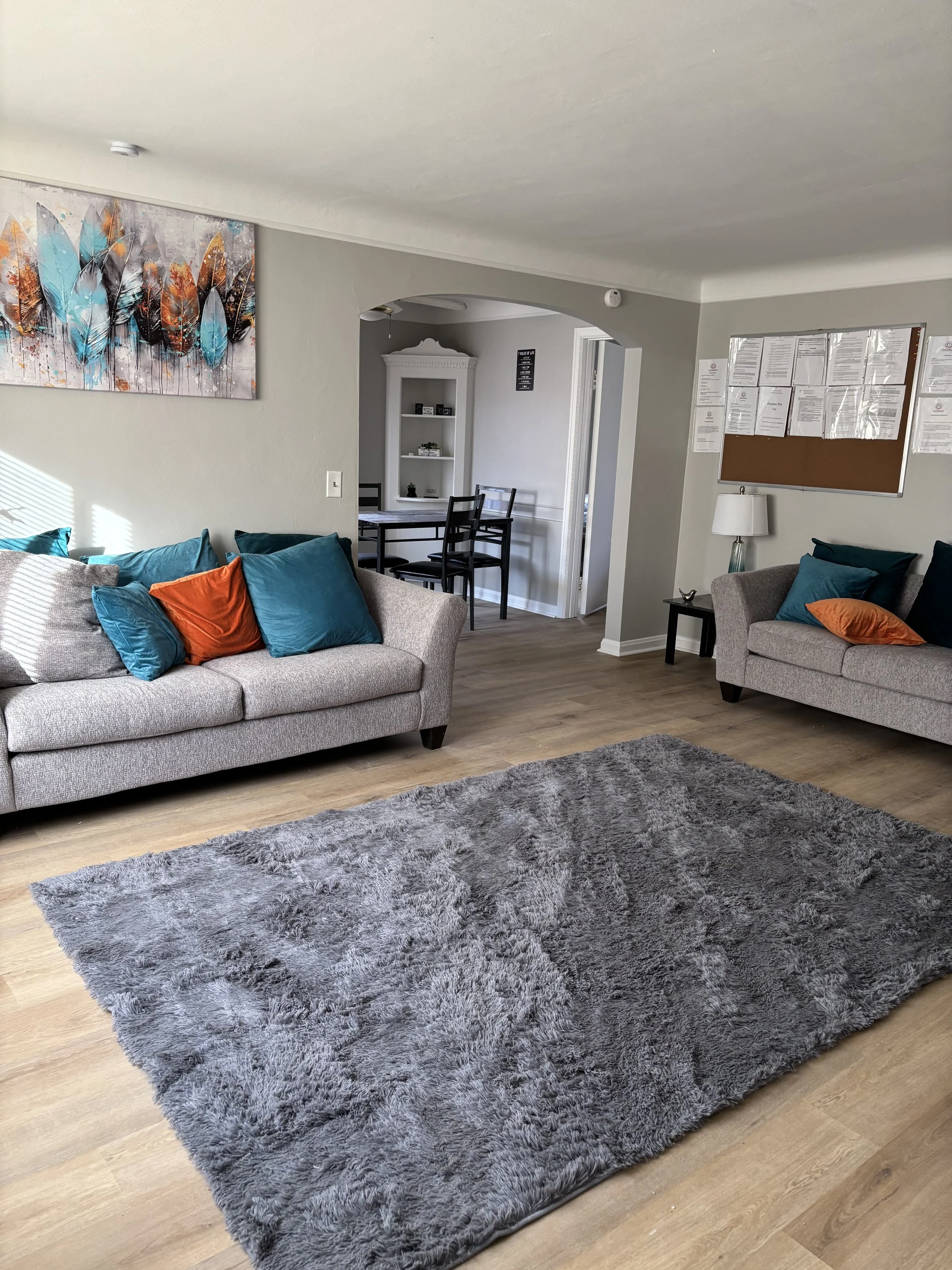 Living room with two gray sofas, teal and orange throw pillows, a gray shag rug, wall art with feathers, and a hallway leading to a dining area with a white shelving unit.