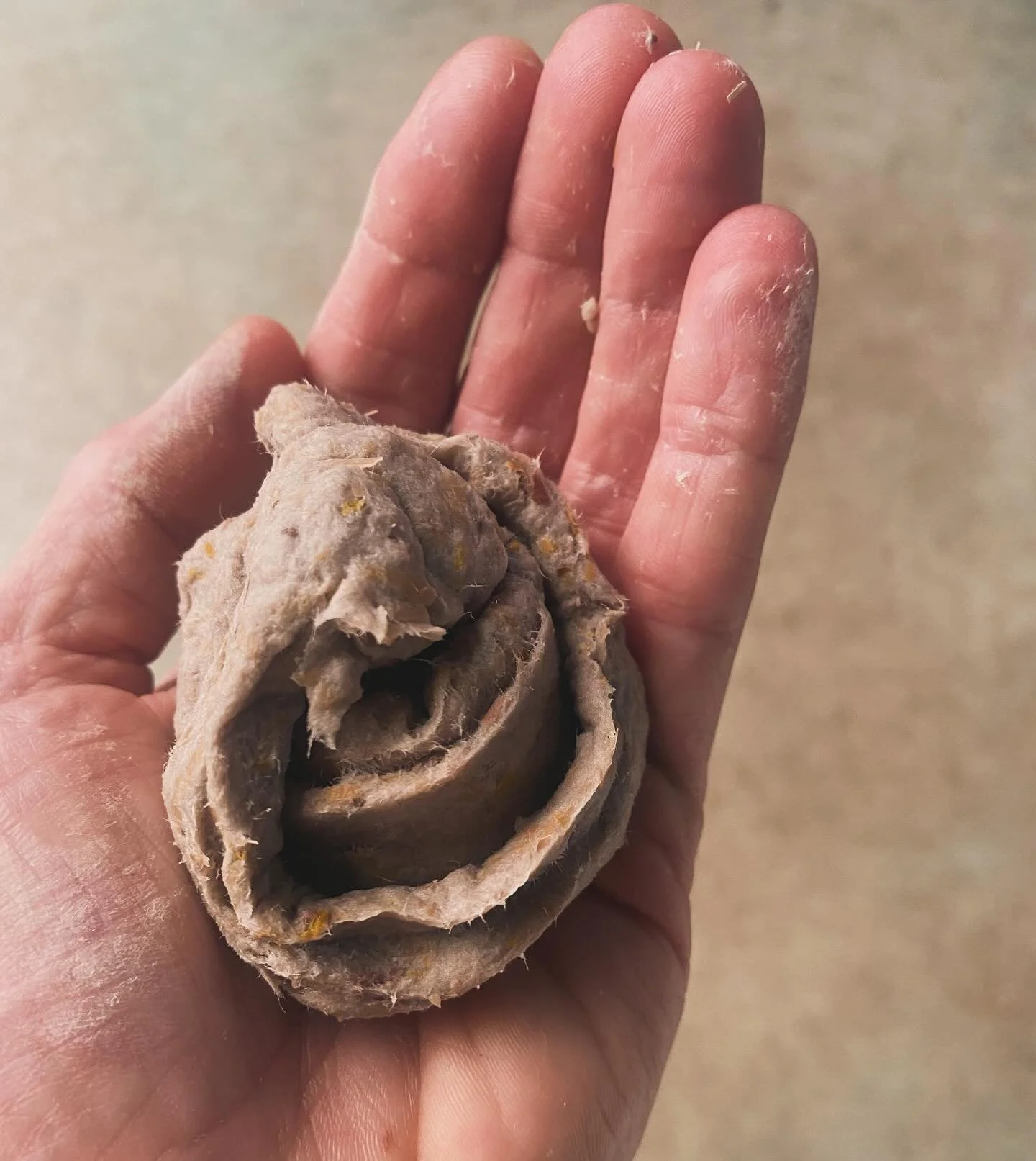 This is what love and gratitude and tears for the dead looks like.