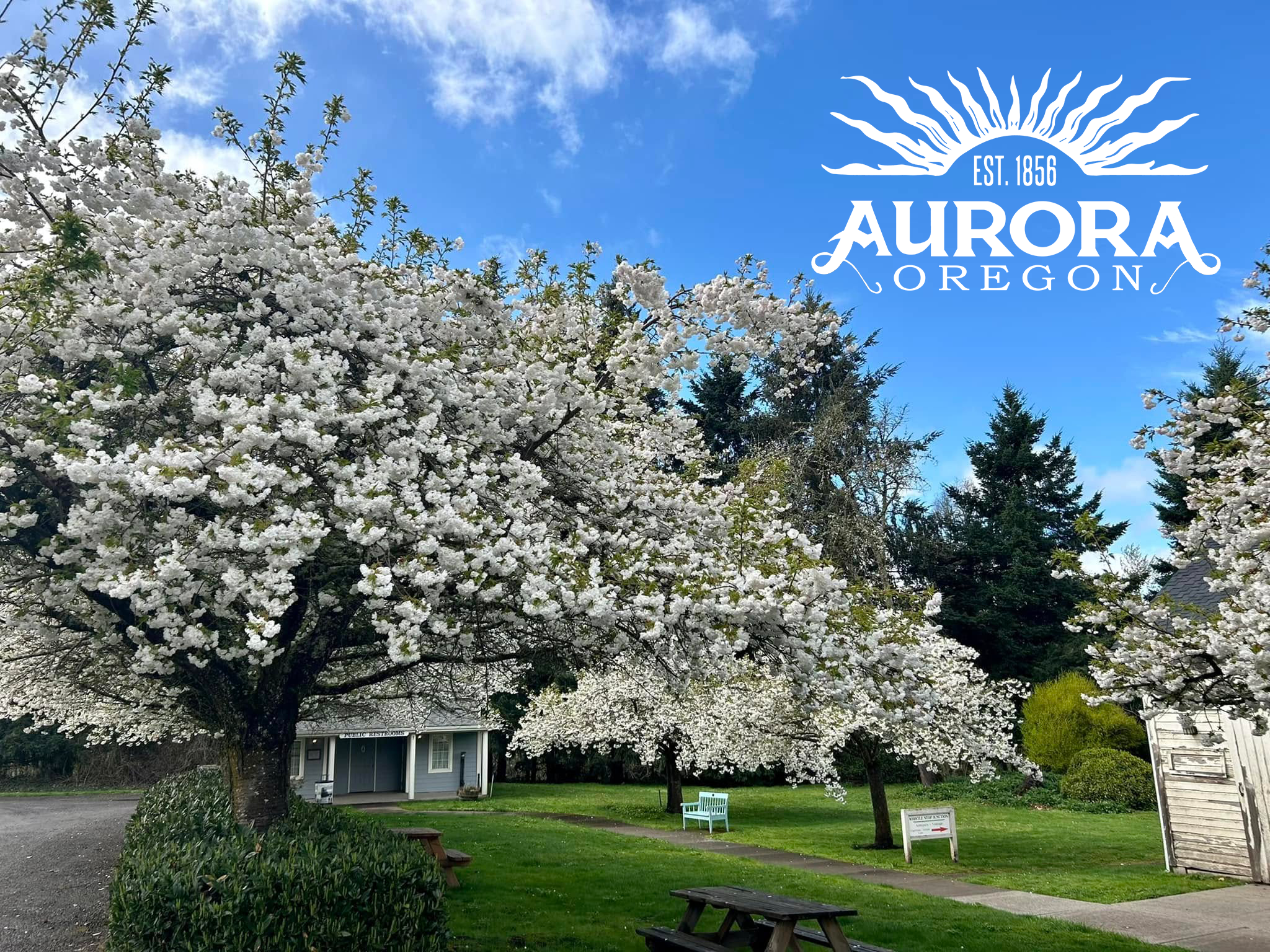 Photos: Photographers capture rare northern lights display over Crater Lake, image size:2048x1536