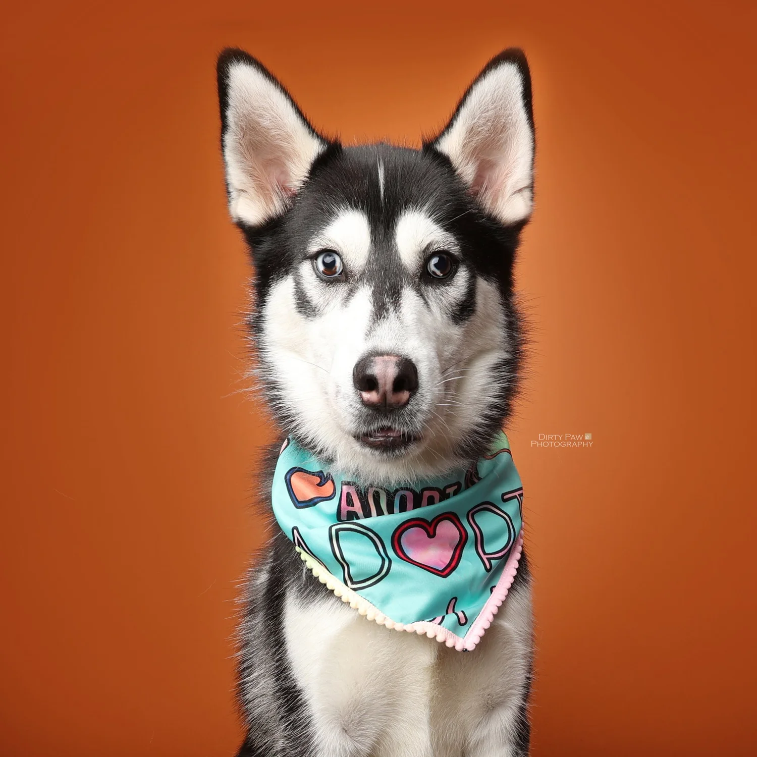 Services — www.fureverhome-rescue.org