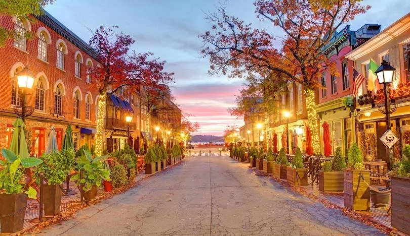 Your Guide to Feeling Better: Wellness Services in Old Town Alexandria