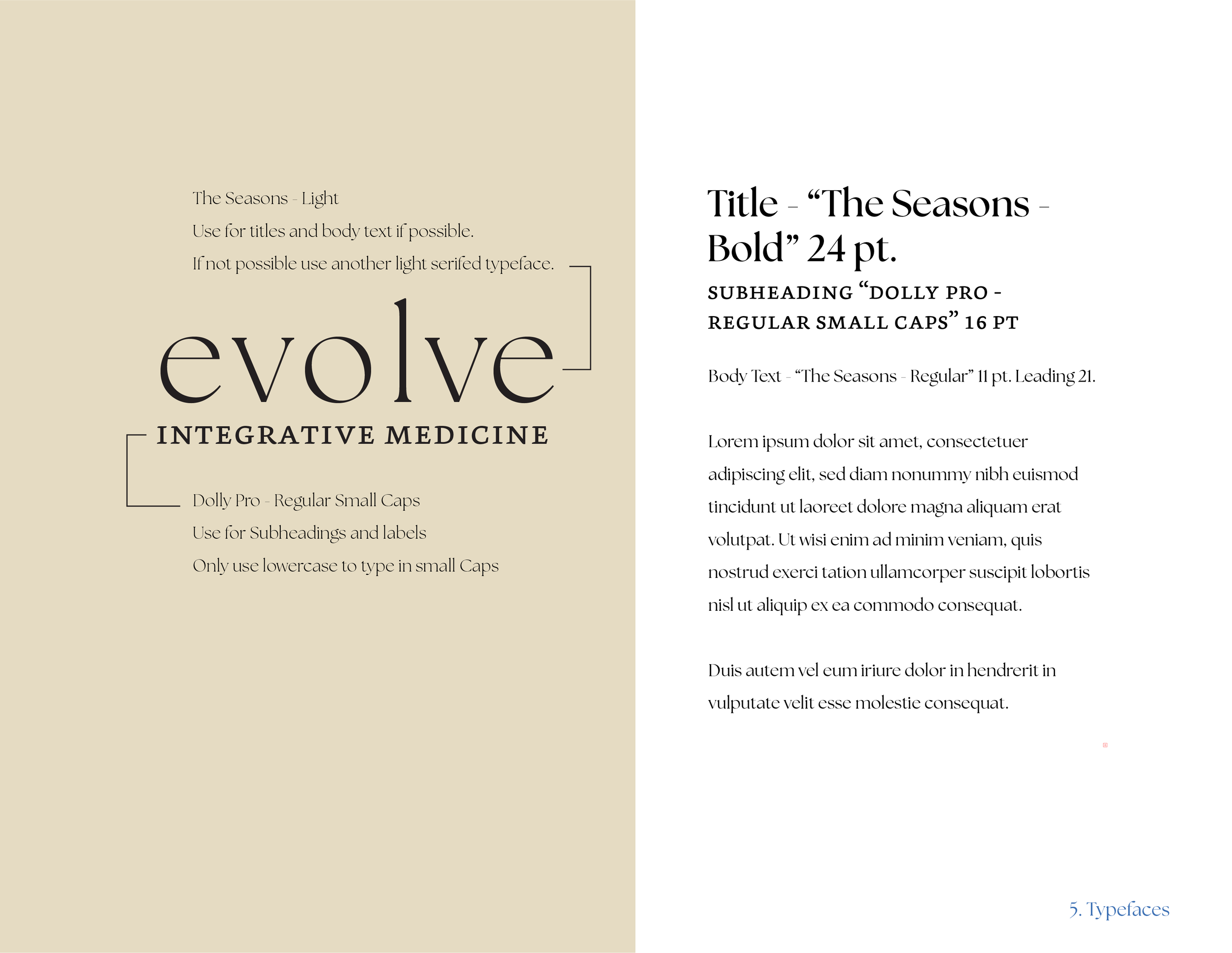 Eos Chu Evolve Brand Guide 4.png