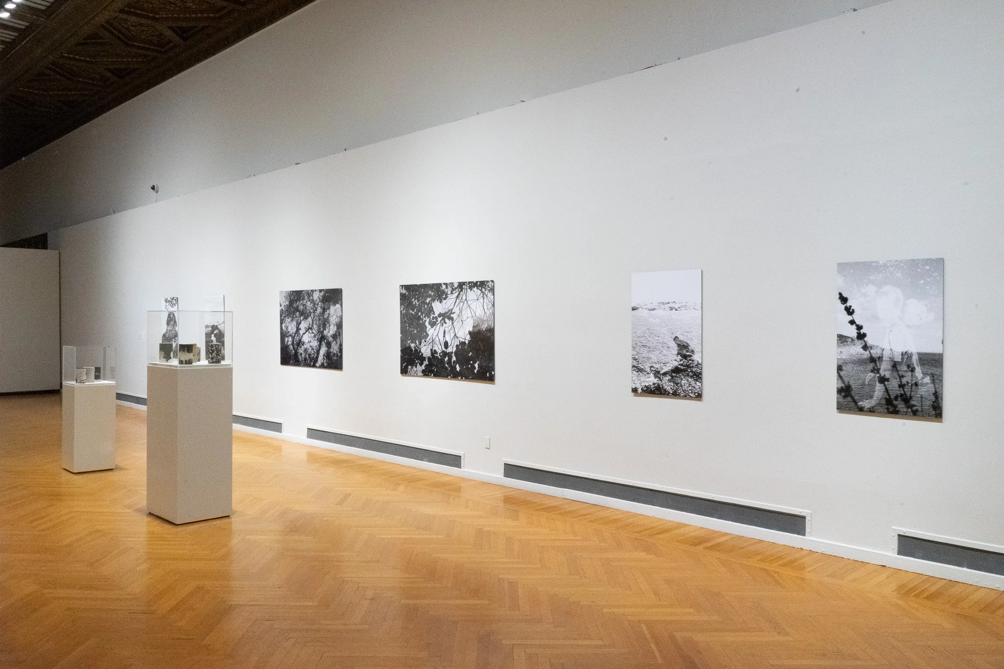 DSC04954-2.jpg