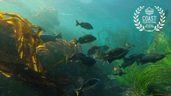 EPICENTER / personal project